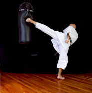 Jean Marc Lopez MawashiGeriBag